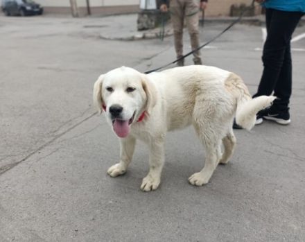 Hallo, ich bin Annabelle!