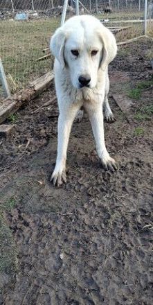 Hallo, ich bin Annabelle!