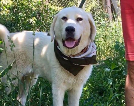 Hallo, ich bin Annabelle!