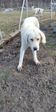 Hallo, ich bin Annabelle!