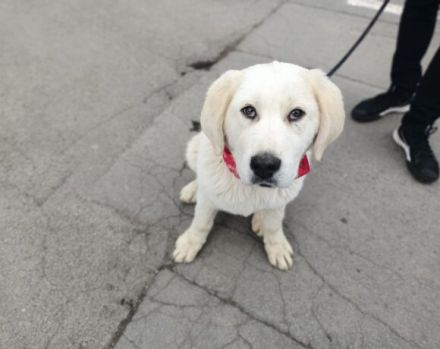 Hallo, ich bin Annabelle!