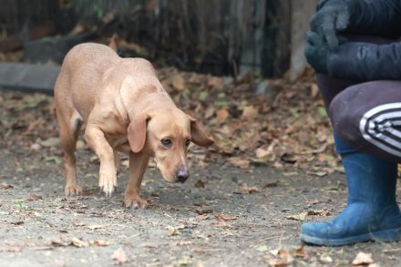 Leonie - sucht eine aktive Familie