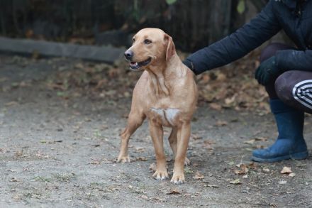 Leonie - sucht eine aktive Familie