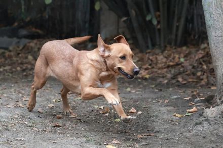 Leonie - sucht eine aktive Familie