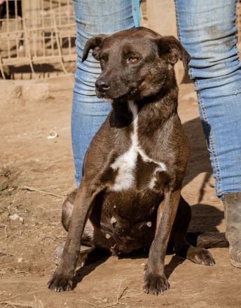 Aliz, anfangs etwas schüchtern