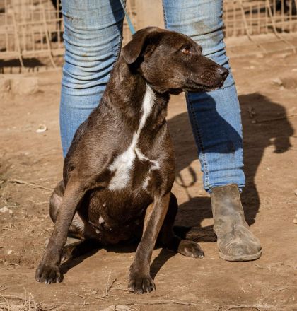 Aliz, anfangs etwas schüchtern