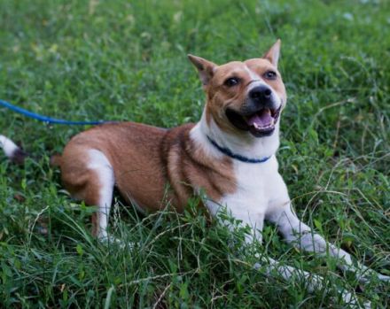 Hallo! Ich bin Myko!