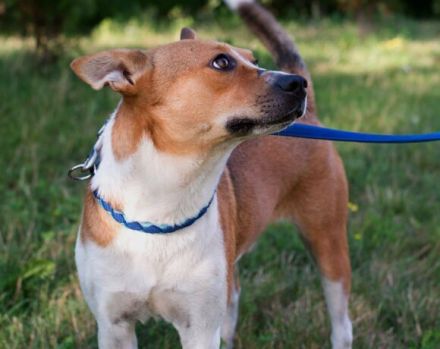 Hallo! Ich bin Myko!