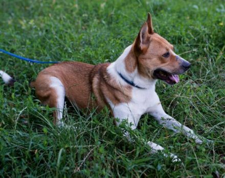 Hallo! Ich bin Myko!