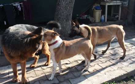 Hallo! Ich bin Myko!