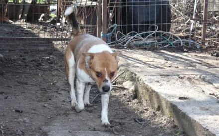 Hallo! Ich bin Myko!