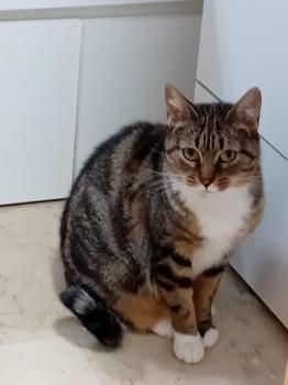 Moly