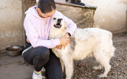 Gnadenplatz für lieben Opi ALASTAIR gesucht
