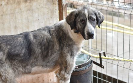 Wer schenkt dem schönen James sein Herz?