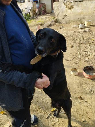 Bob wartet schon so lange