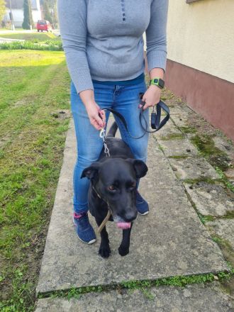 Bob wartet schon so lange