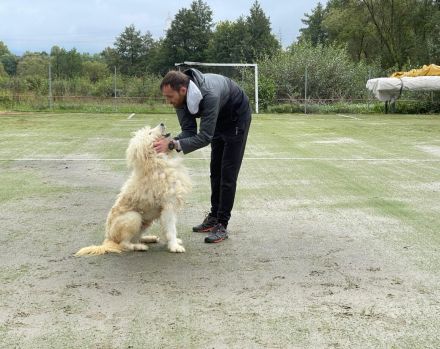 Eisbär Wooly sucht sein Für-Immer-Zuhause