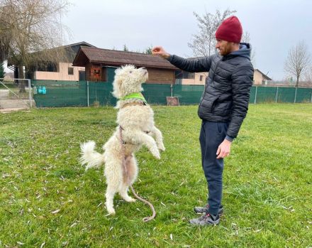 Eisbär Wooly sucht sein Für-Immer-Zuhause