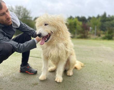 Eisbär Wooly sucht sein Für-Immer-Zuhause