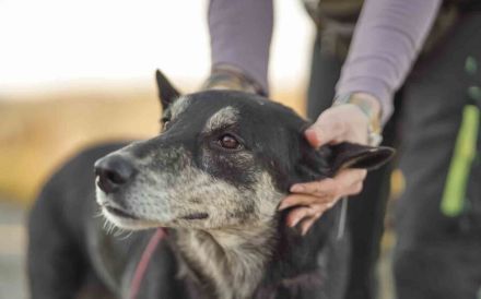 Casper wartet schon auf dich!