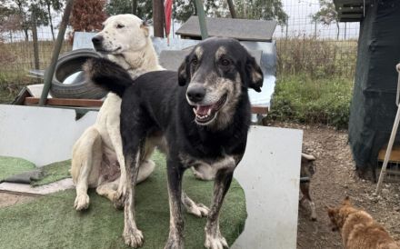 Casper wartet schon auf dich!