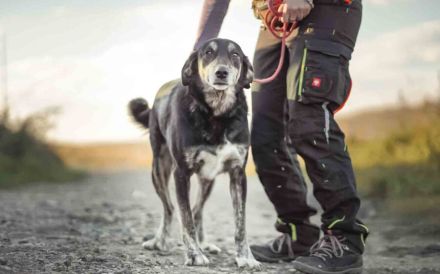 Casper wartet schon auf dich!