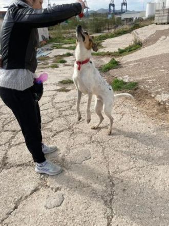 Schaut euch Max an !