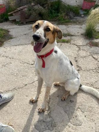 Schaut euch Max an !