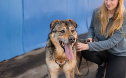 Schenkst du Mani ein warmes Für-Immer-Körbchen