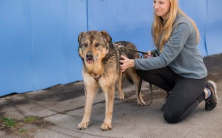 Schenkst du Mani ein warmes Für-Immer-Körbchen