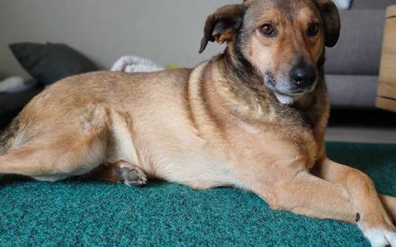 MacKenzie zeigt sich als lieb und freundlich