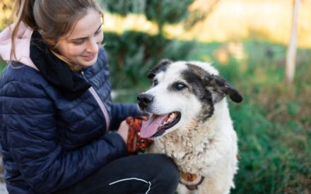 Rüdiger - liebebedürftig und menschenbezogen!