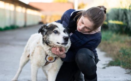 Rüdiger - liebebedürftig und menschenbezogen!