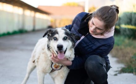 Rüdiger - liebebedürftig und menschenbezogen!