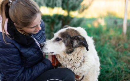 Rüdiger - liebebedürftig und menschenbezogen!