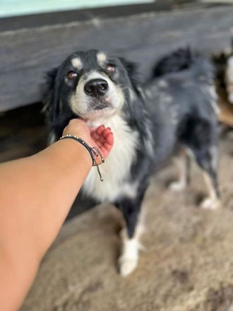 Einstein, lieb und freundlich