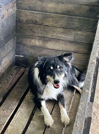 Einstein, lieb und freundlich