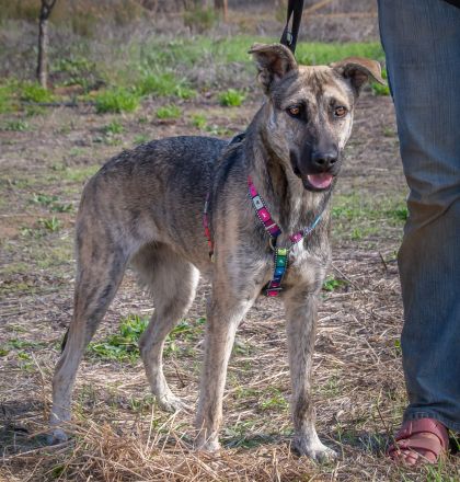 Jennifer - ein liebes Mädchen