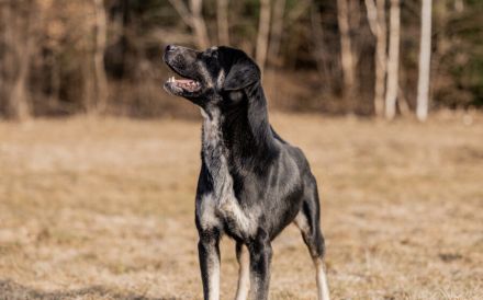 Zera sucht ihre Lieblingsmenschen