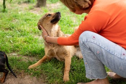 Tara ist bereit in ein neues Leben zu starten