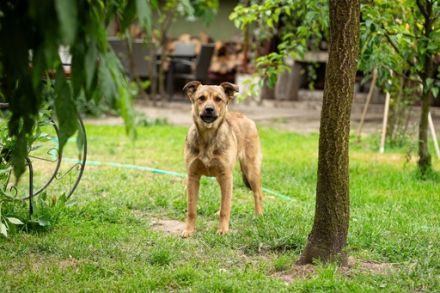 Tara ist bereit in ein neues Leben zu starten