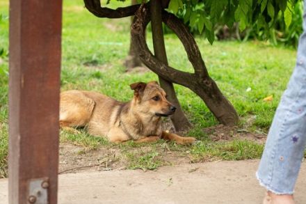 Tara ist bereit in ein neues Leben zu starten
