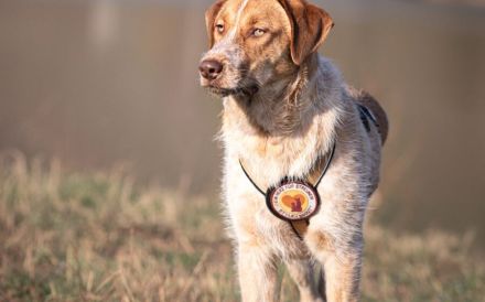 Alisa sucht Menschen mit großem Herz