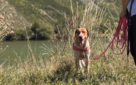 Alisa sucht Menschen mit großem Herz
