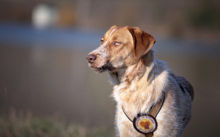 Alisa sucht Menschen mit großem Herz