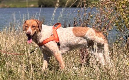 Alisa sucht Menschen mit großem Herz