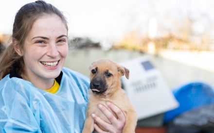 Kämpferin Amara sucht Dich!