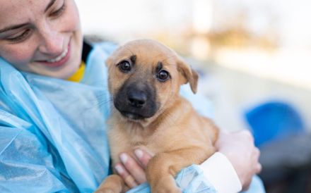 Kämpferin Amara sucht Dich!