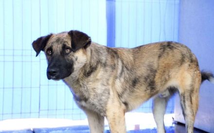 Rocco blickt hoffnungsvoll in seine Zukunft!