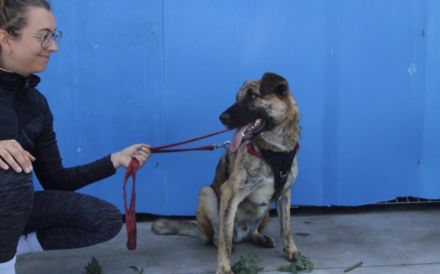Rocco blickt hoffnungsvoll in seine Zukunft!